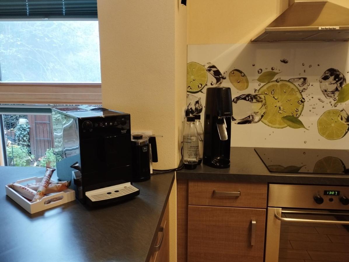 Nichtraucherferienwohnung-Neckarblick Ze-2022-74-Wz-118A Heidelberg Luaran gambar