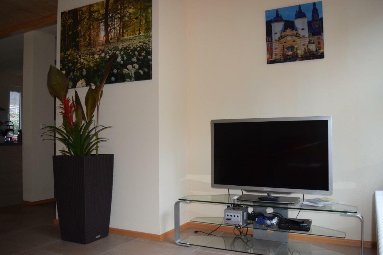 Nichtraucherferienwohnung-Neckarblick Ze-2022-74-Wz-118A Heidelberg Luaran gambar